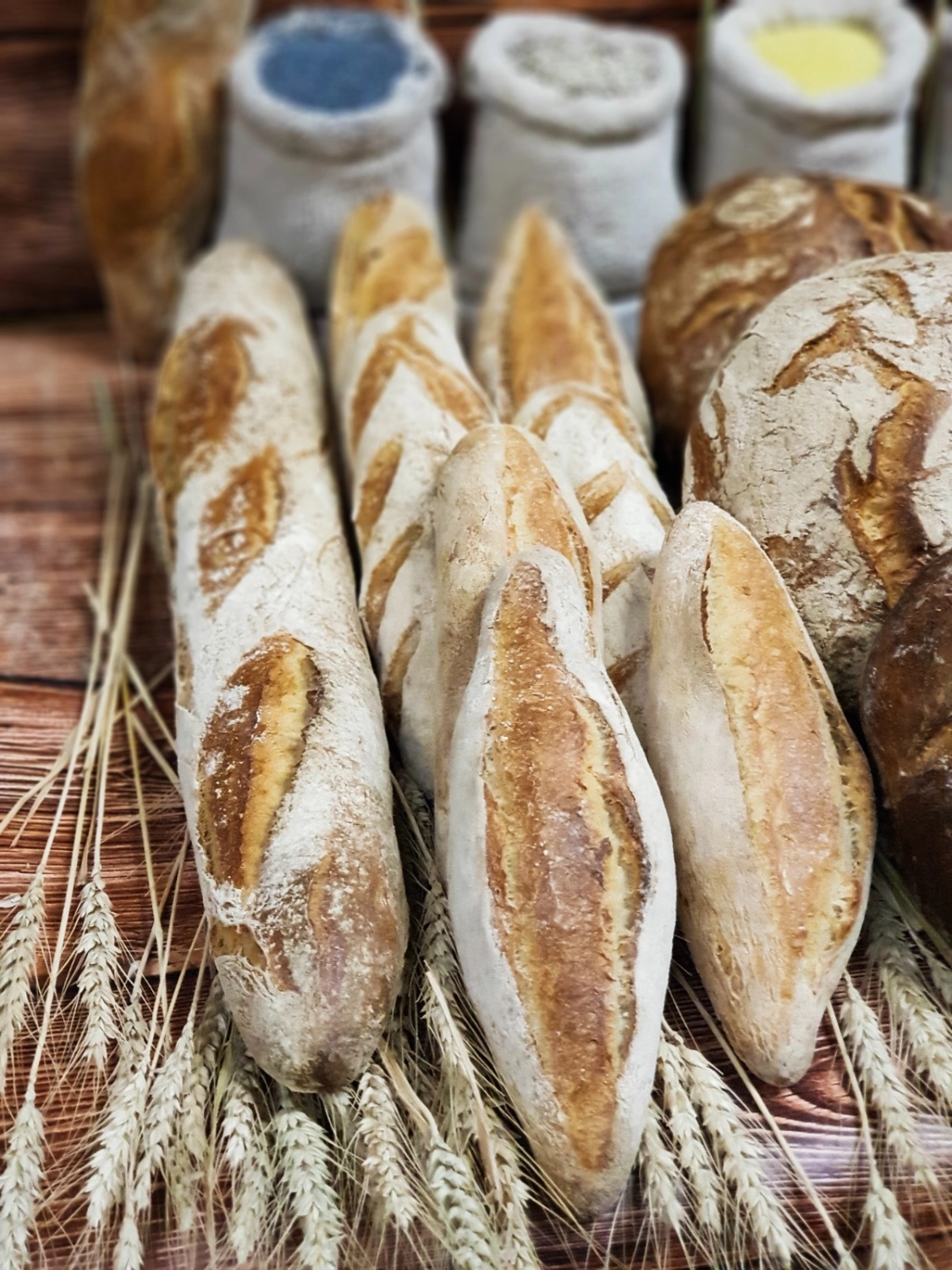 Baguette´s von Cavus Bäckerei GmbH