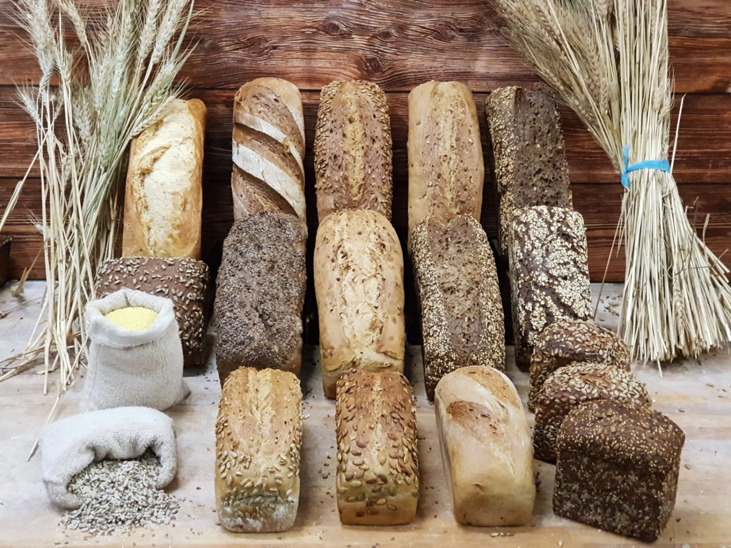 frisches Brot von der Cavus Bäckerei GmbH