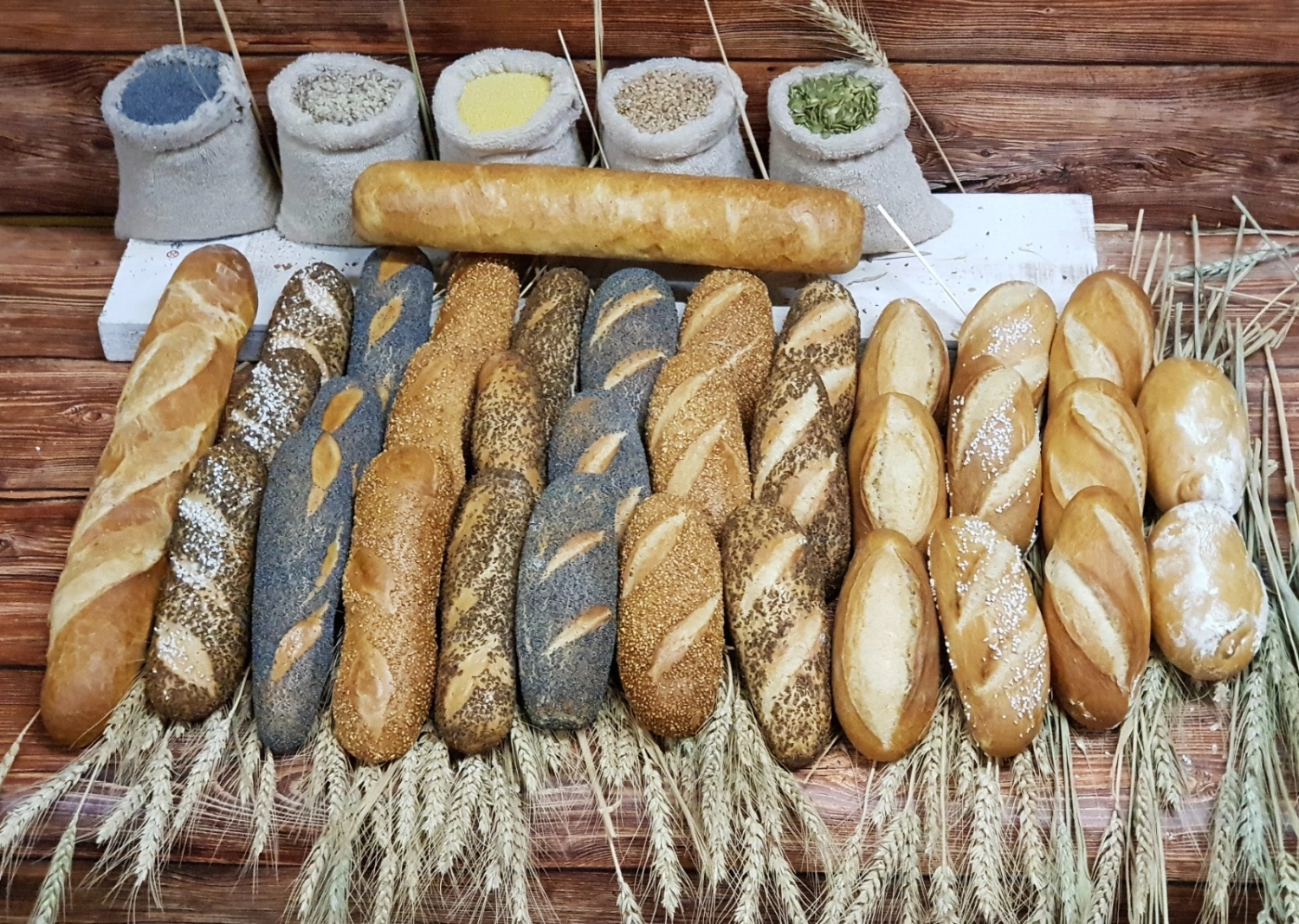 Baguette´s von Cavus Bäckerei GmbH