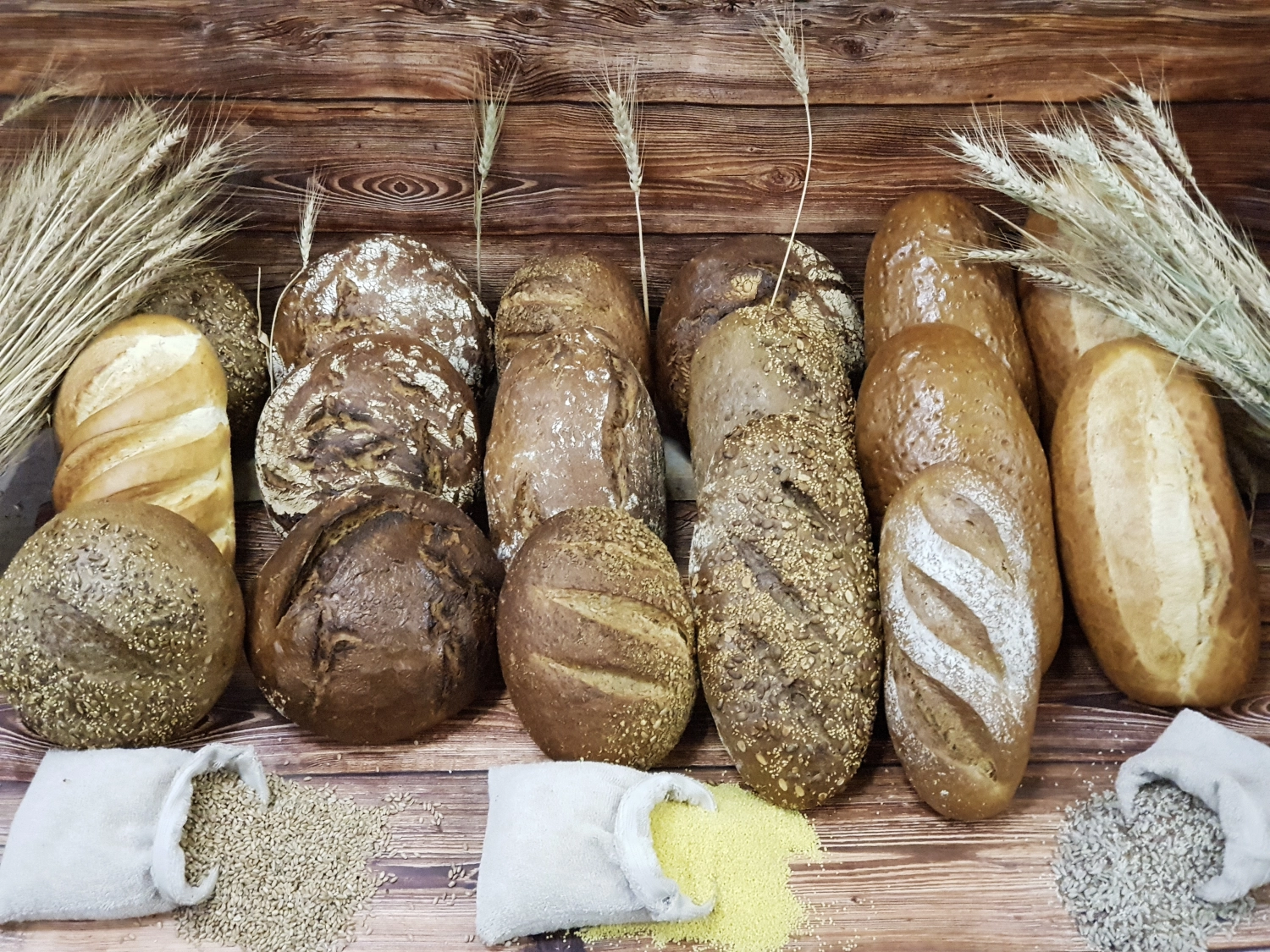 frisches Brot von der Cavus Bäckerei GmbH